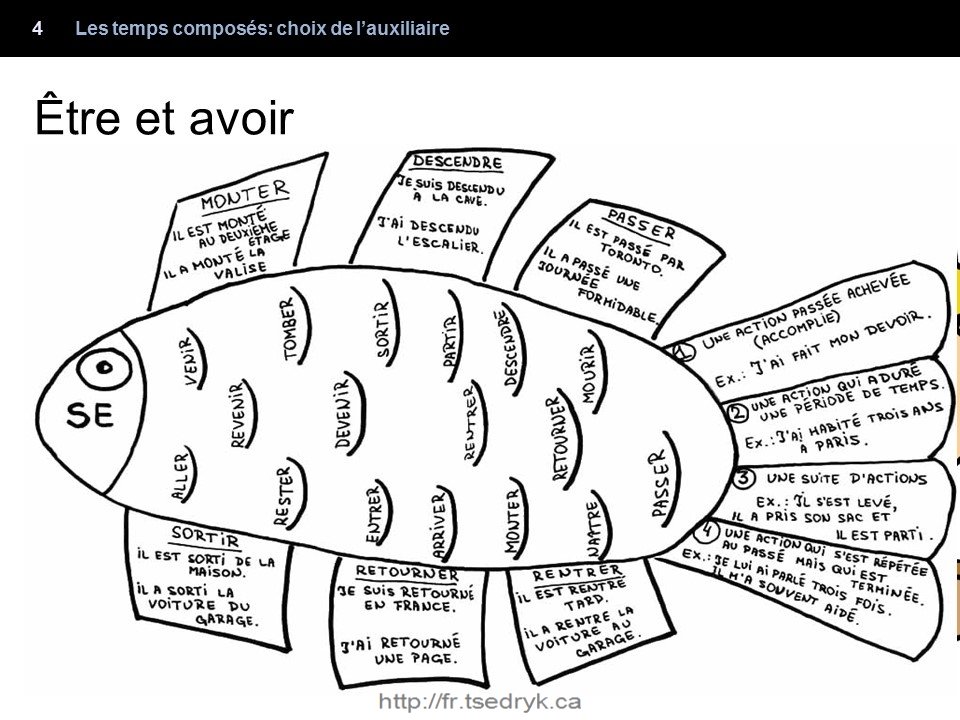 Choix de l'auxiliaire grammaire française