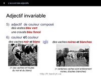 Accord des adjectifs, grammaire française