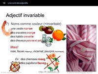 Accord des adjectifs, grammaire française