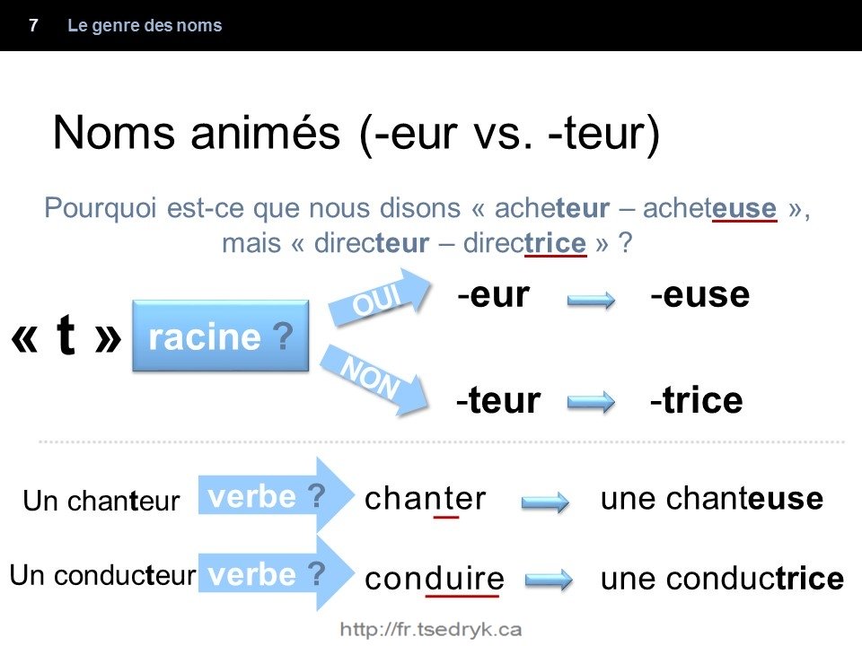 Genre des noms grammaire française