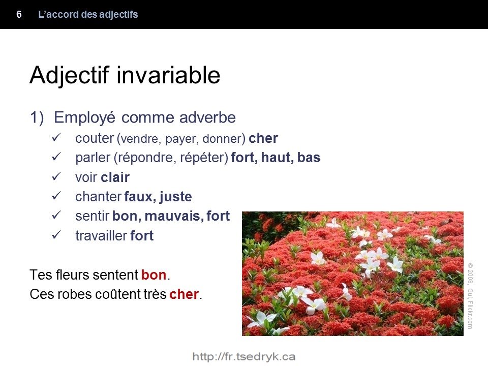 Accord des adjectifs grammaire française