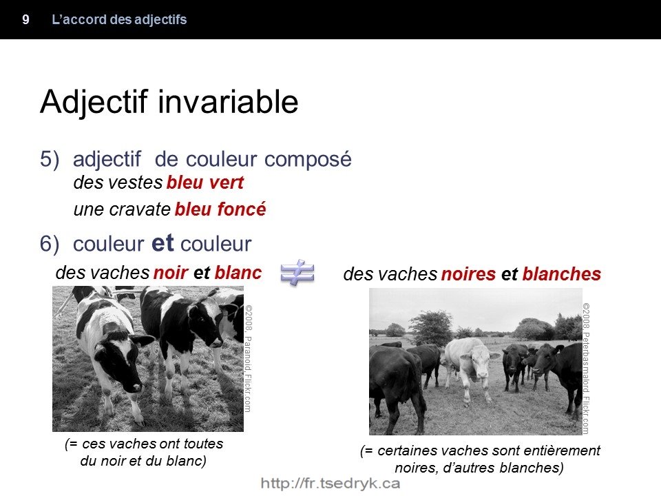 Accord des adjectifs grammaire française