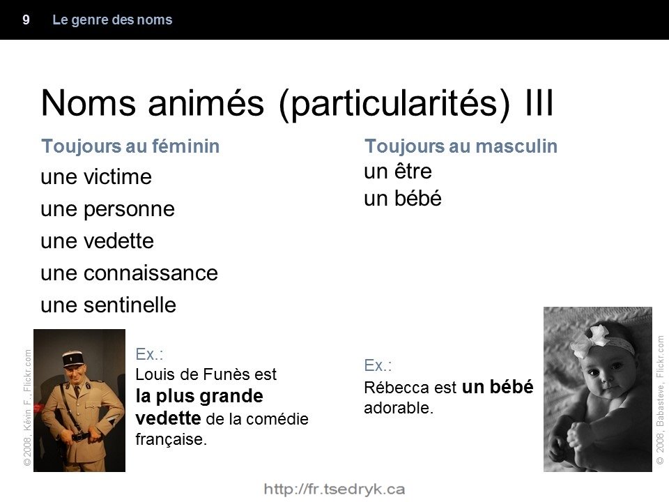 Genre des noms grammaire française