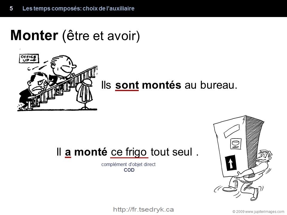 Choix de l'auxiliaire grammaire française