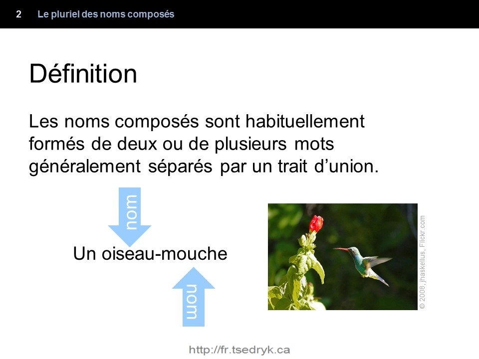 Pluriel des noms composés grammaire française